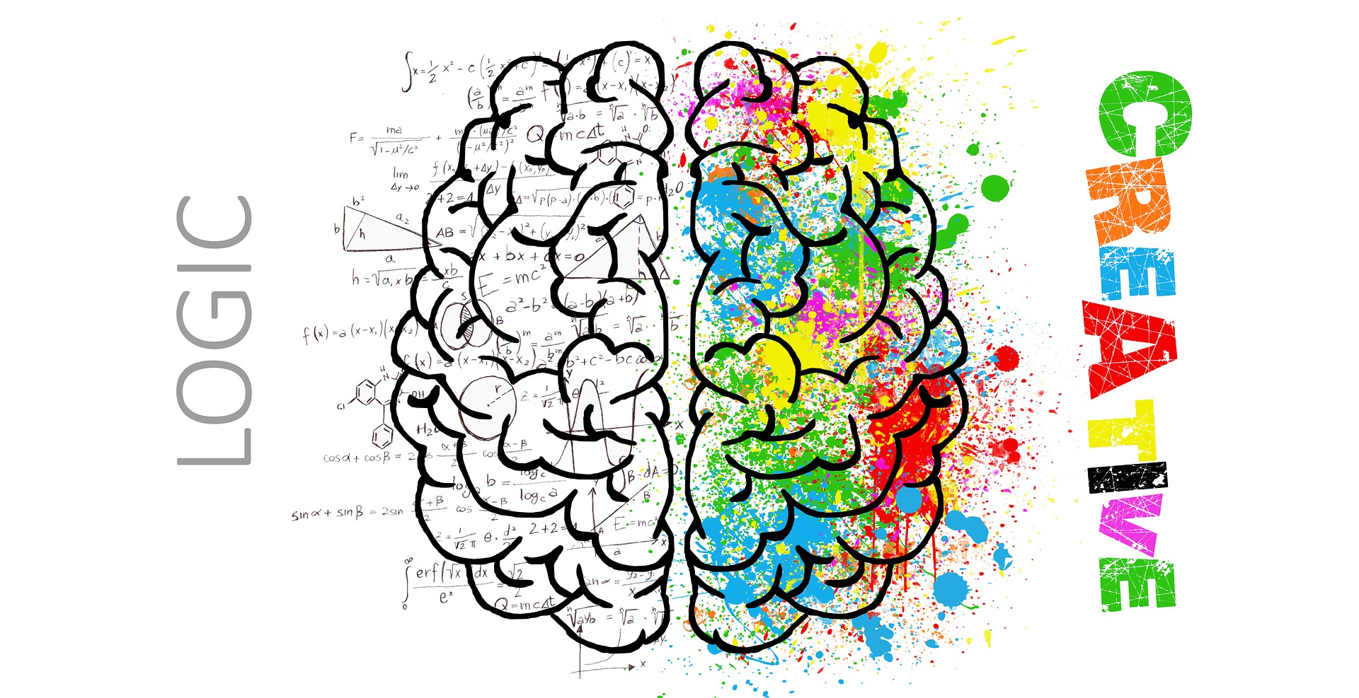 Brain's hemispheres with logic and creativity