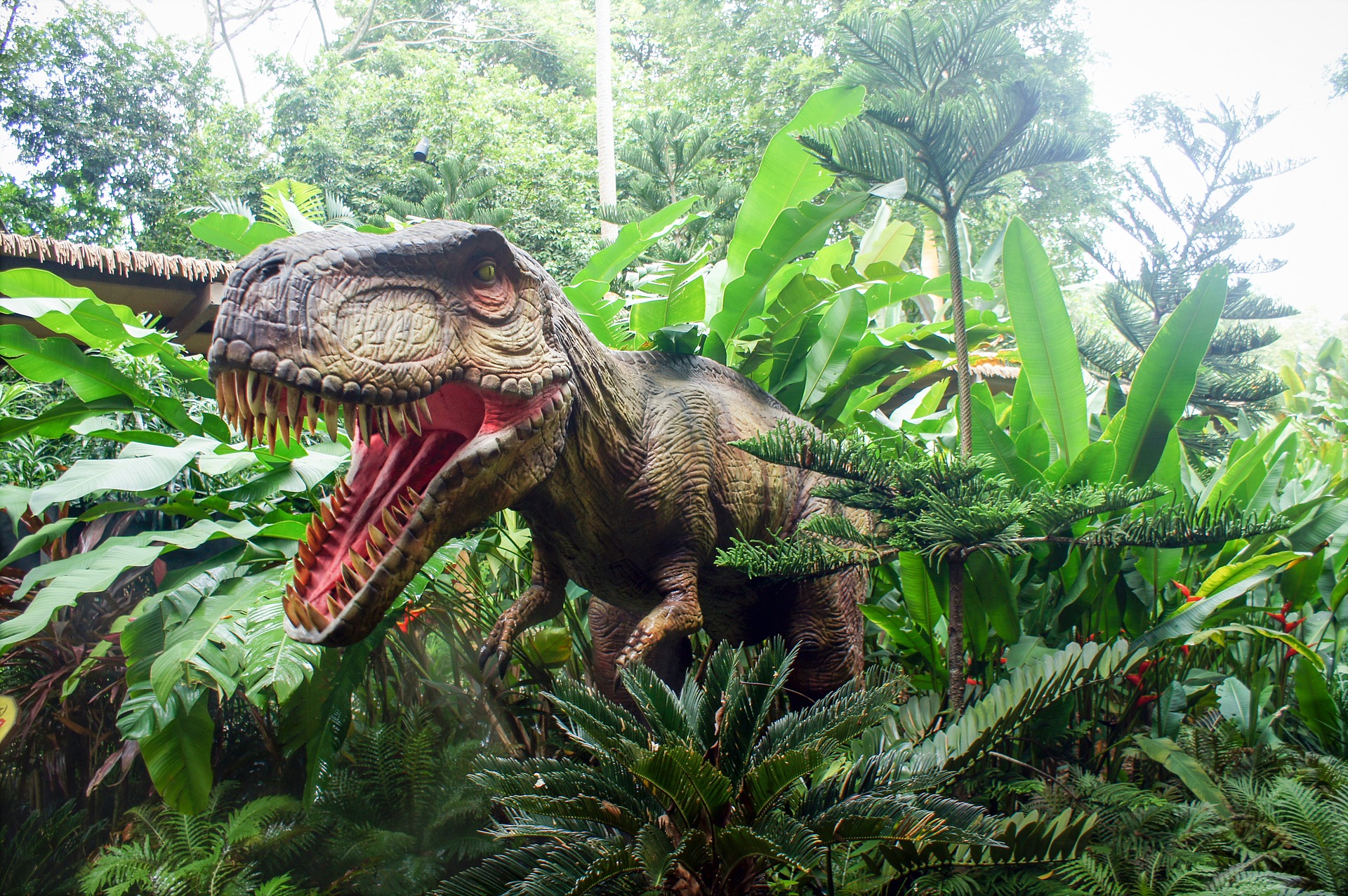 dino-dinosaur-tyrannosaurus-rex-singapore-zoo-jungle-green-plants Dinosaur, dino, tyrannosaurus rex