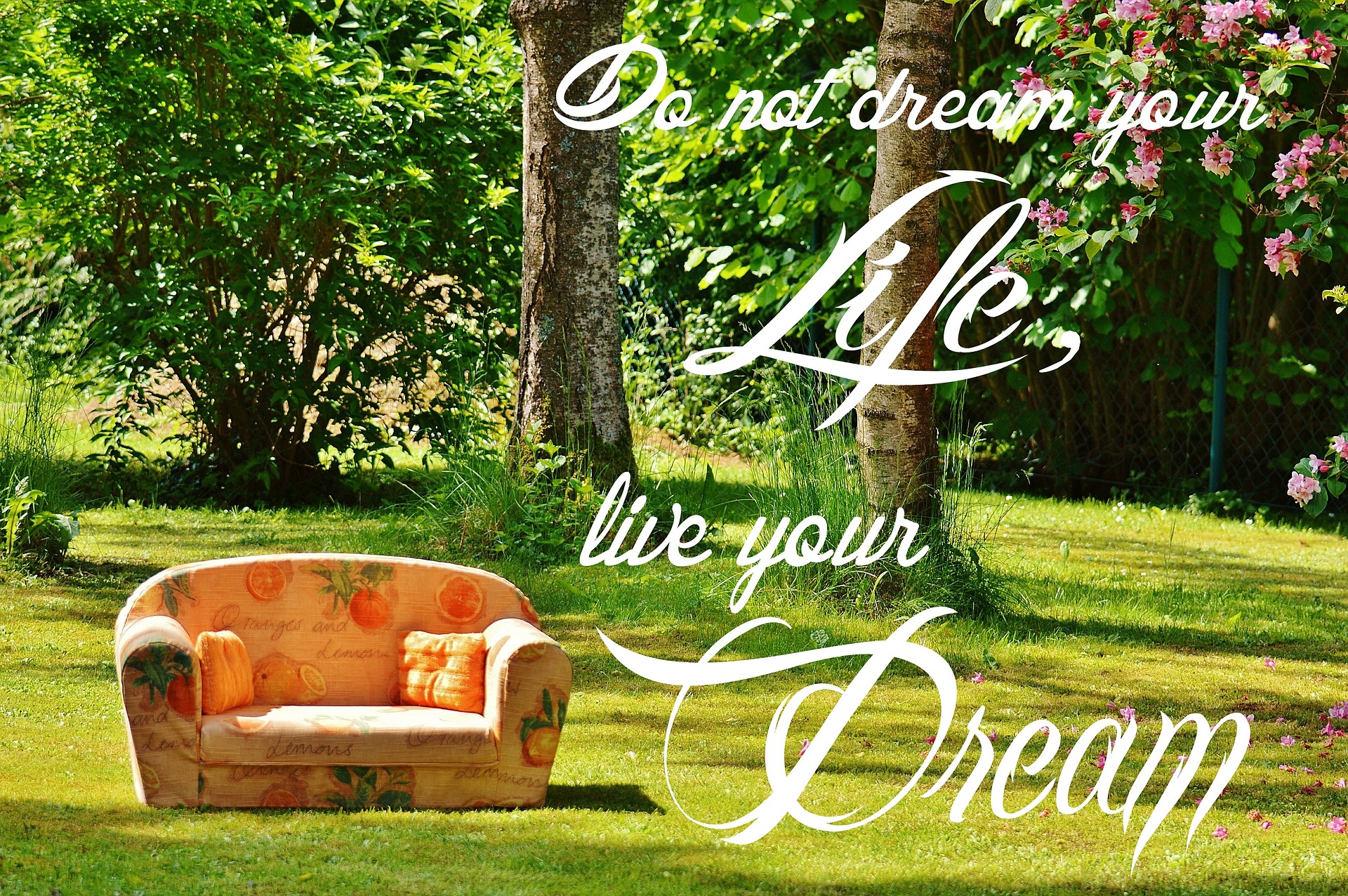 do-not-dream-your-life-live-your-dream Do not dream your life, live your dream.