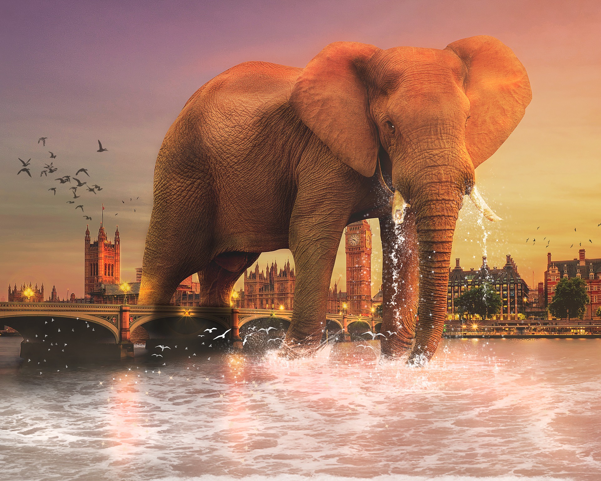 Huge elephant in river
