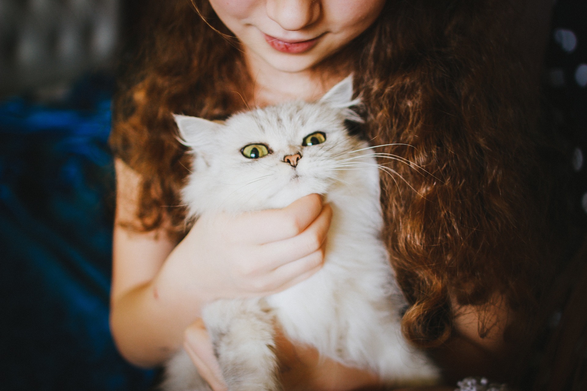 Girl with white pussy-cat