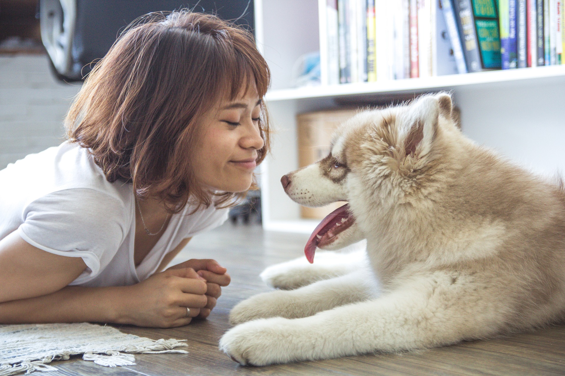 husky-baby-puppy-cuddling-with-girl Husky puppy with girl