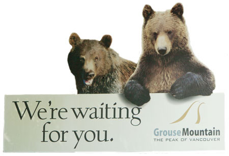 These bears are waiting for you on Grouse Mountain in Vancouver.