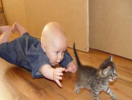Baby chases kitten.