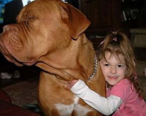 Little girl and her huge dog.