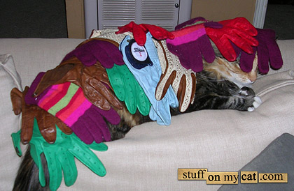 Cat under clothes... (Stuff on cats) Cat under clothes... (Stuff on cats)