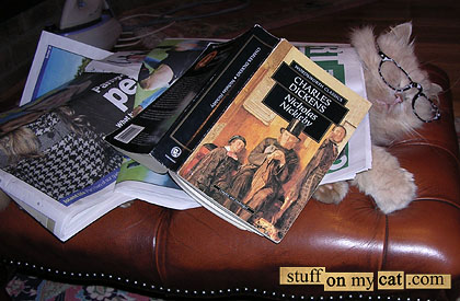 Bookworm cat. Reading makes the pussy more intelligent! Bookworm cat. Reading makes the pussy more intelligent!