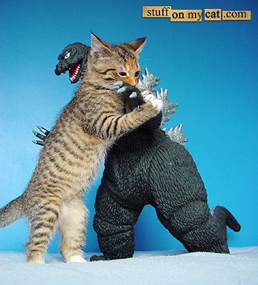 Dinosaur fighting cat! Dinosaur fighting cat!