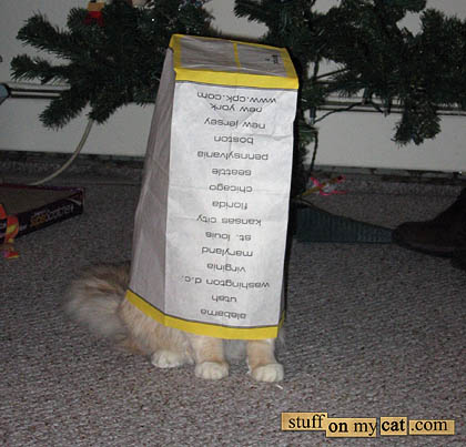 Warning: Cat inside! Warning: Cat inside!