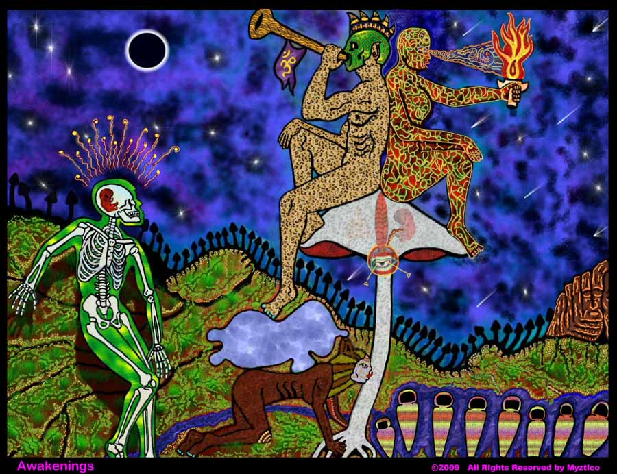 Myztico Campo: Awakenings