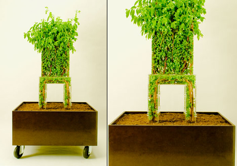 Growing tree chair by designer Michel Bussien.