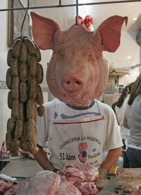 Pig head man