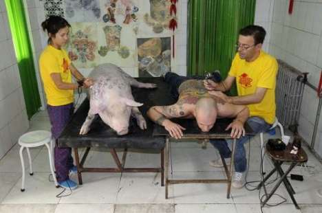 Pig. Swine. Man. Tattoo.