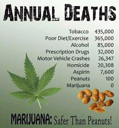 Annual deaths of Marijuana: Peanuts
