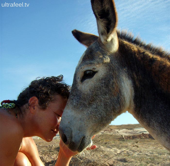 Woman meets a donkey. Woman meets a donkey.