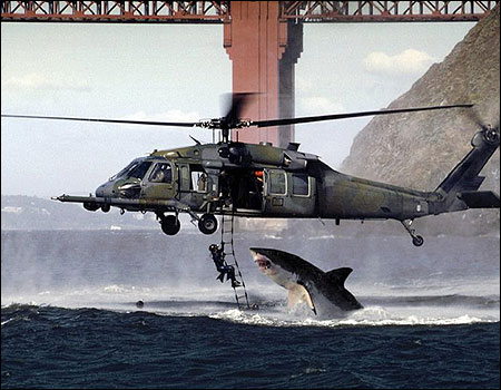 Fake photo: Shark jumps at diver on helicopter.