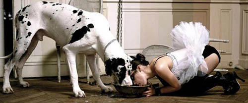 Issue One: The new fashion magazine shows a dog and a woman eating out of a dog bowl....!