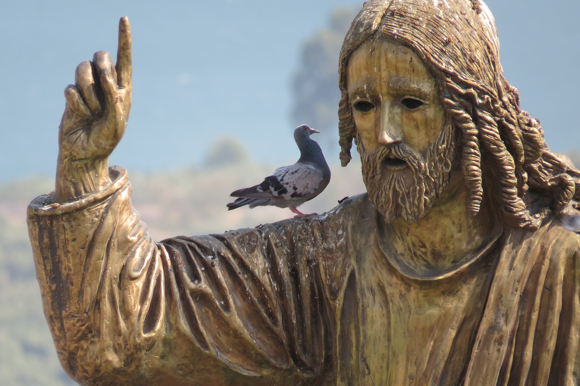 Jesus Christ teaching a bird