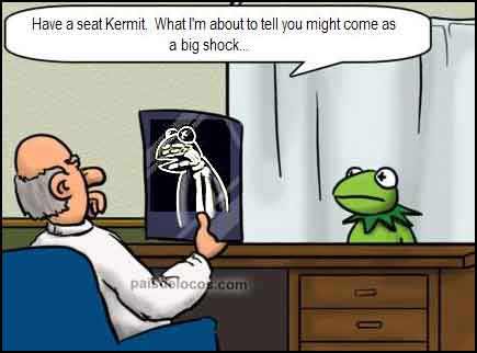 kermit-advaita-styled-joke