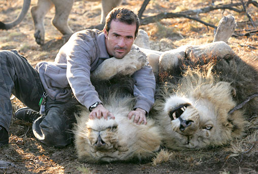 kevin-richardson-lions-1