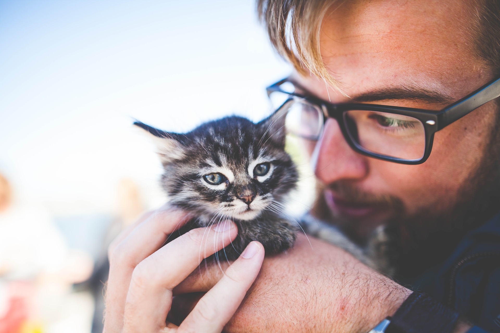 Man with glasses holds cute kitten