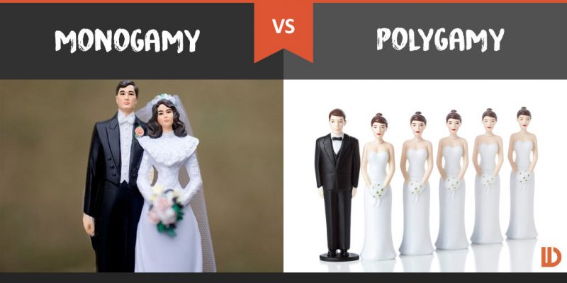 monogamie , polygamie, monogamy, polygamy