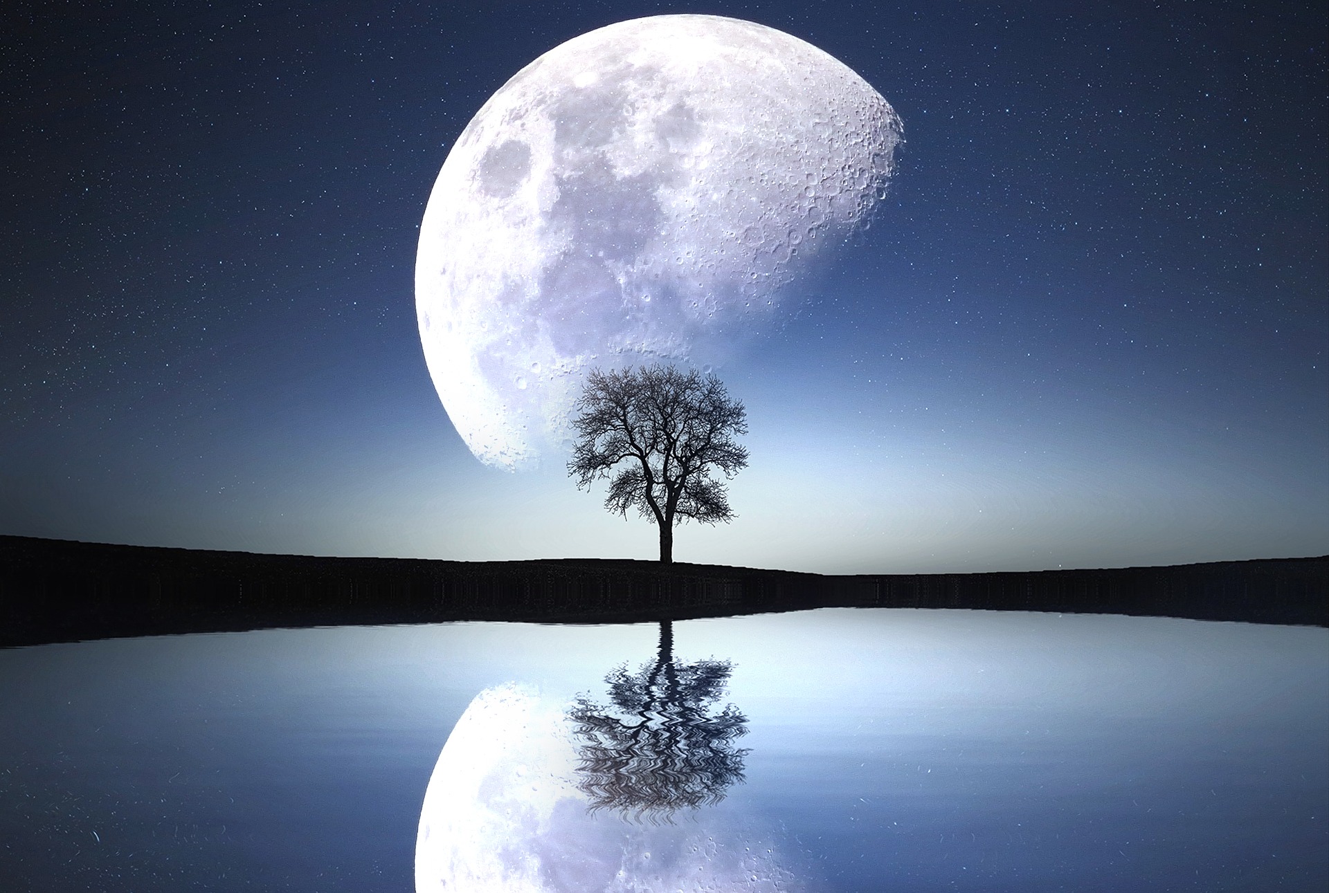 Moon and tree reflecting in water